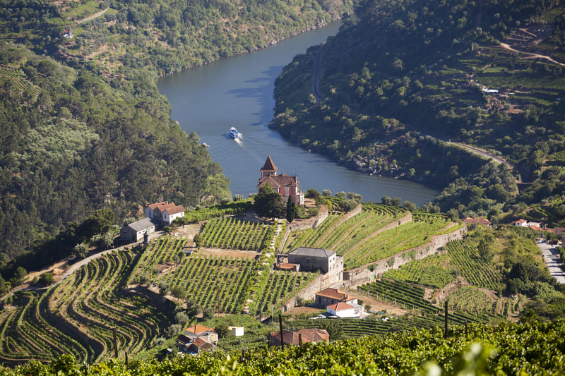 Wine Valley Cruise Douro River Portugal