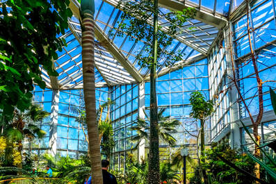 Inside Palm Garden Frankfurt