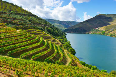 Douro River Wine Region Portugal