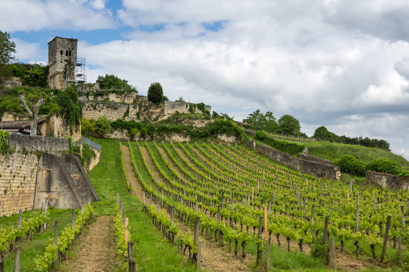 Saint-Émilion vineyards, France