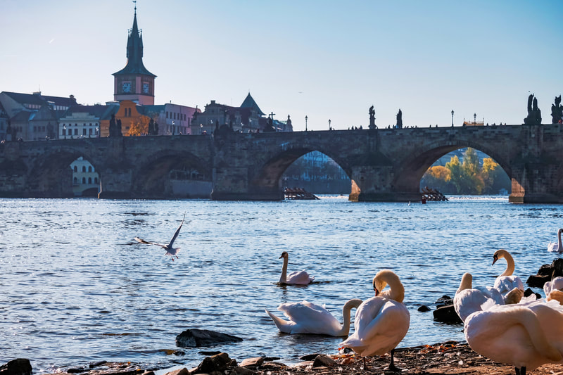 Prague life on the Vltava River, Czech Republic