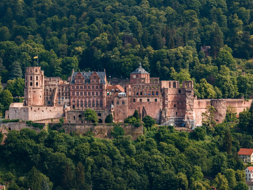 Heidelberg Castle Rhine River Cruise