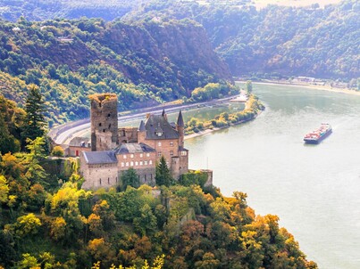Rhine River cruise through Rhine Falls