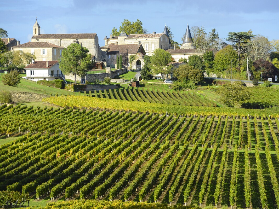Visit a Saint-Émilion vineyard on the Founder's Grand Cruise