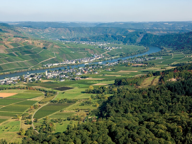 Valley wineries along Uniworld Moselle River cruises